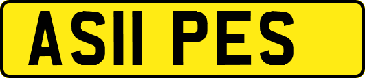 AS11PES