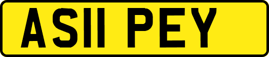 AS11PEY