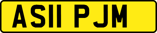 AS11PJM