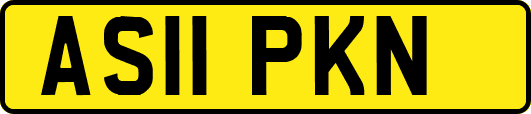 AS11PKN