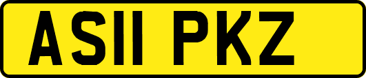 AS11PKZ