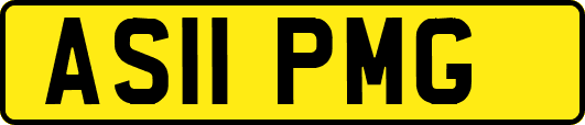AS11PMG