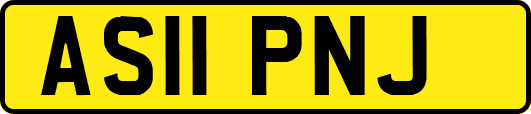 AS11PNJ