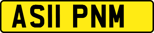 AS11PNM