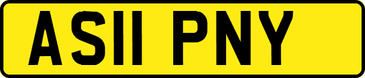 AS11PNY