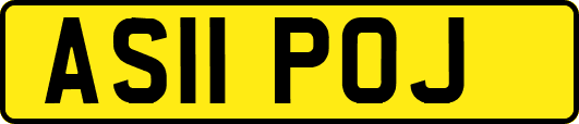 AS11POJ