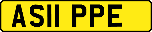 AS11PPE