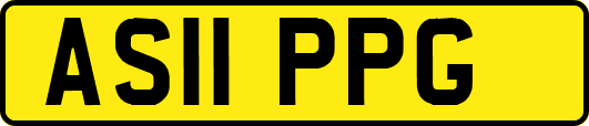 AS11PPG
