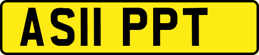 AS11PPT