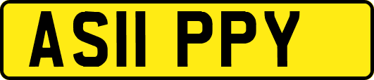 AS11PPY