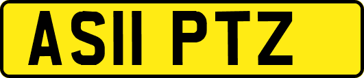 AS11PTZ
