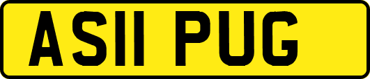 AS11PUG