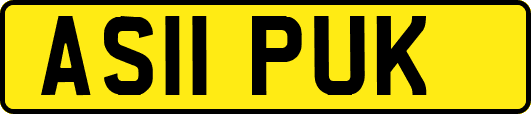AS11PUK