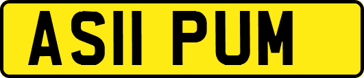AS11PUM