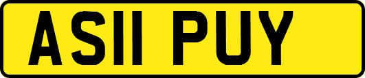 AS11PUY