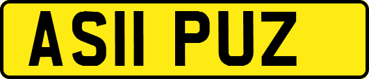 AS11PUZ