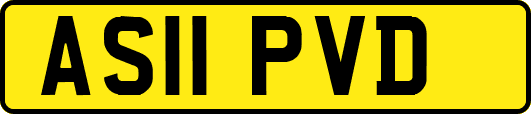 AS11PVD