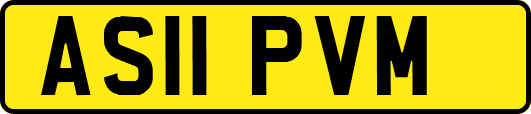 AS11PVM