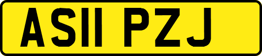 AS11PZJ