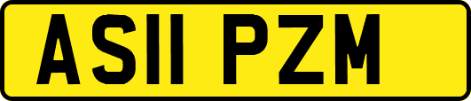 AS11PZM