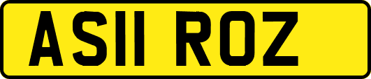 AS11ROZ