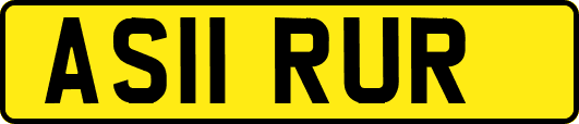 AS11RUR