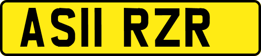AS11RZR