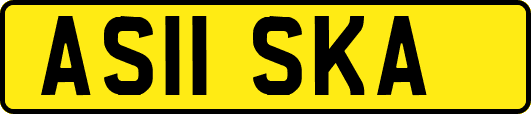 AS11SKA