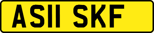 AS11SKF