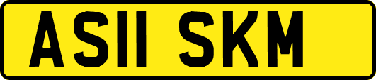 AS11SKM