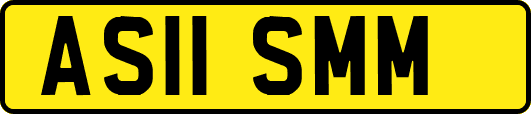 AS11SMM