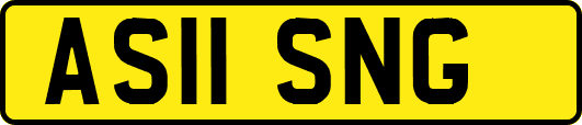 AS11SNG