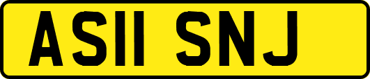 AS11SNJ