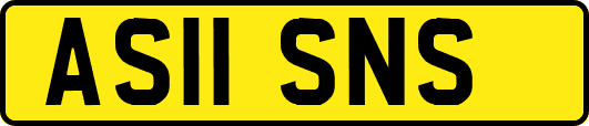 AS11SNS