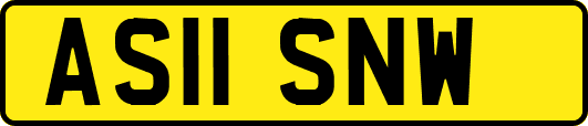 AS11SNW