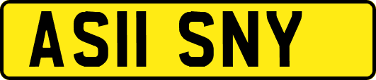 AS11SNY