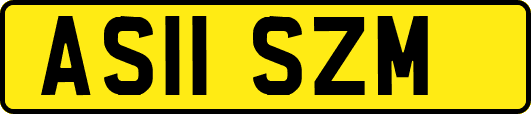 AS11SZM