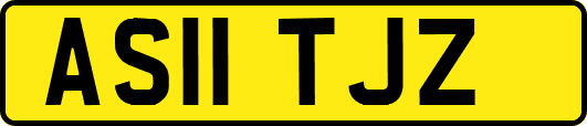 AS11TJZ