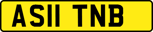 AS11TNB