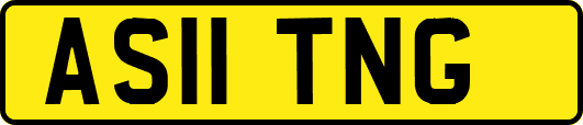 AS11TNG