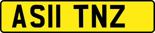 AS11TNZ