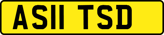 AS11TSD