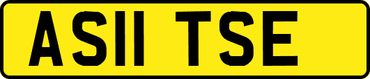 AS11TSE