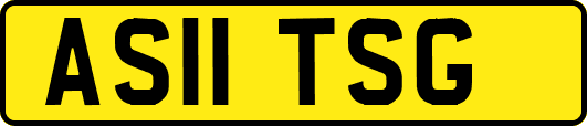 AS11TSG