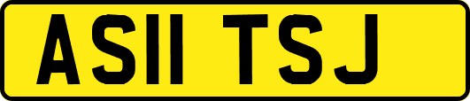 AS11TSJ