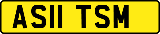 AS11TSM