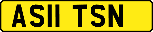AS11TSN