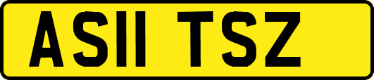 AS11TSZ