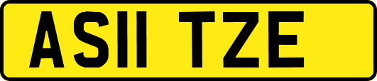 AS11TZE