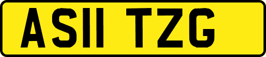 AS11TZG